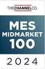 MESMidmarket100